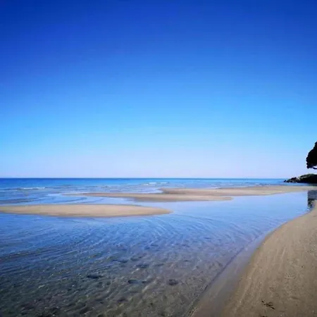 Beachfront Escape In Corsica شقة