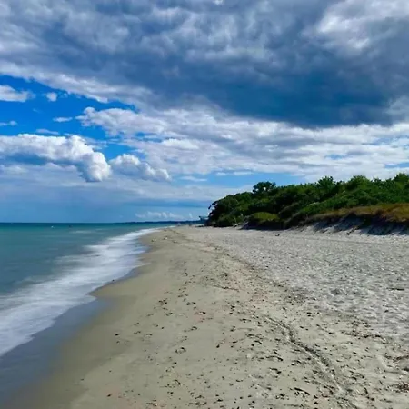 Beachfront Escape In Corsica San-Nicolao
